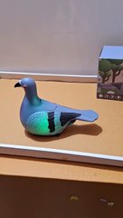 Crawling Eggs Laying Dove Toy with Lights Sound Music for Kids