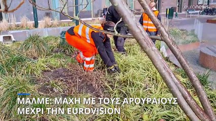 Eurovision 2024: Σκύλοι και κουνάβια κυνηγούν τους αρουραίους στο Μάλμε