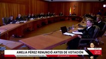 Amelia Pérez presentó su renuncia a la terna de fiscal general