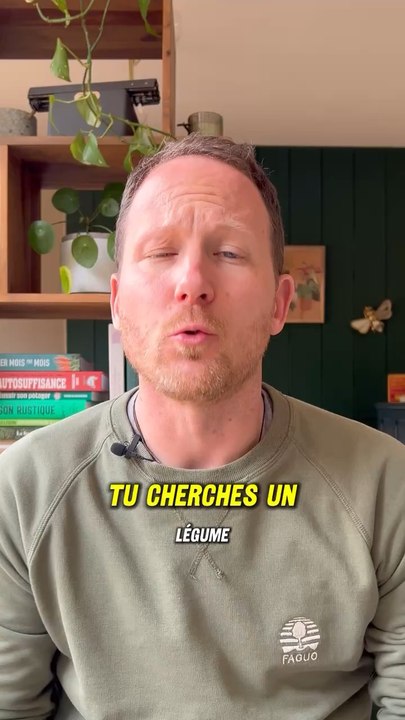 Une culture simple et indispensable au potager afin d’apporter de la diversité en cuisine. Vous pouvez réaliser vos semis d’oignons mais le plus simple est de vous procurer des bulbilles en jardinerie. ‍