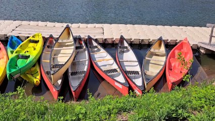 11 mars TOPO PG Assurance emploi