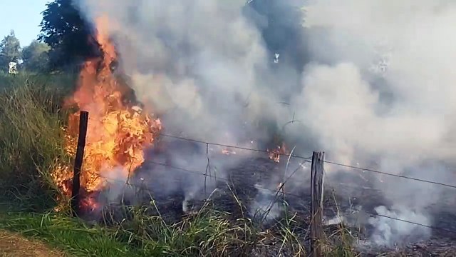 Incêndio de grandes proporções atinge área de pastagem entre Umuarama e Cruzeiro do Oeste 1