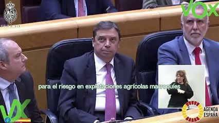 Ángel Pelayo Gordillo. Pregunta sobre Sector Primaro a Mtro de Agricultura. Pleno de 12.03.2024