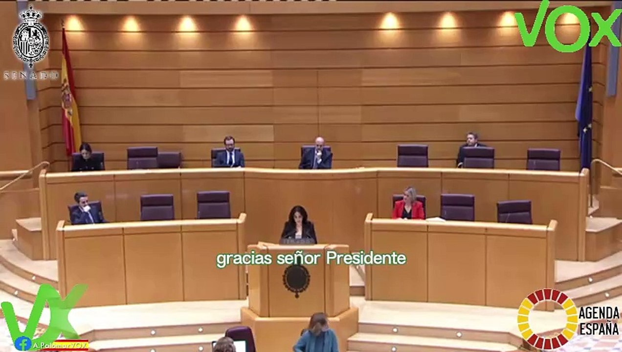 Paloma Gómez. Interviene en solicitud de Comisión de Investigación Caso Koldo. Pleno 12.03.2024