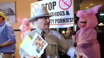 Fiery scenes at a senate inquiry into two major supermarkets