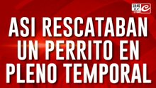 Así rescataban un perrito en pleno temporal