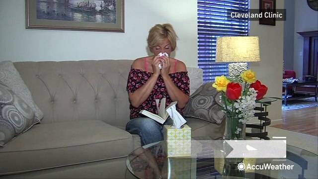 Spring allergy survival guide: Expert tips to breathe easier