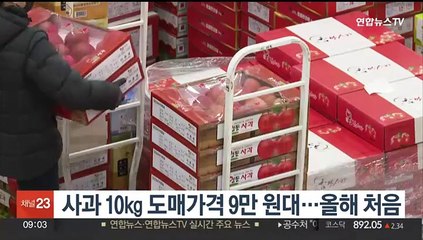 사과 10kg 도매가격 9만원대…올해 처음