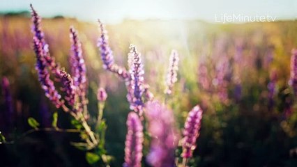 3 Must-Haves for Spring