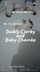 Daddy Clarky and Baby Chambe