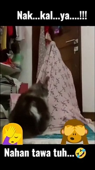 Video lucu