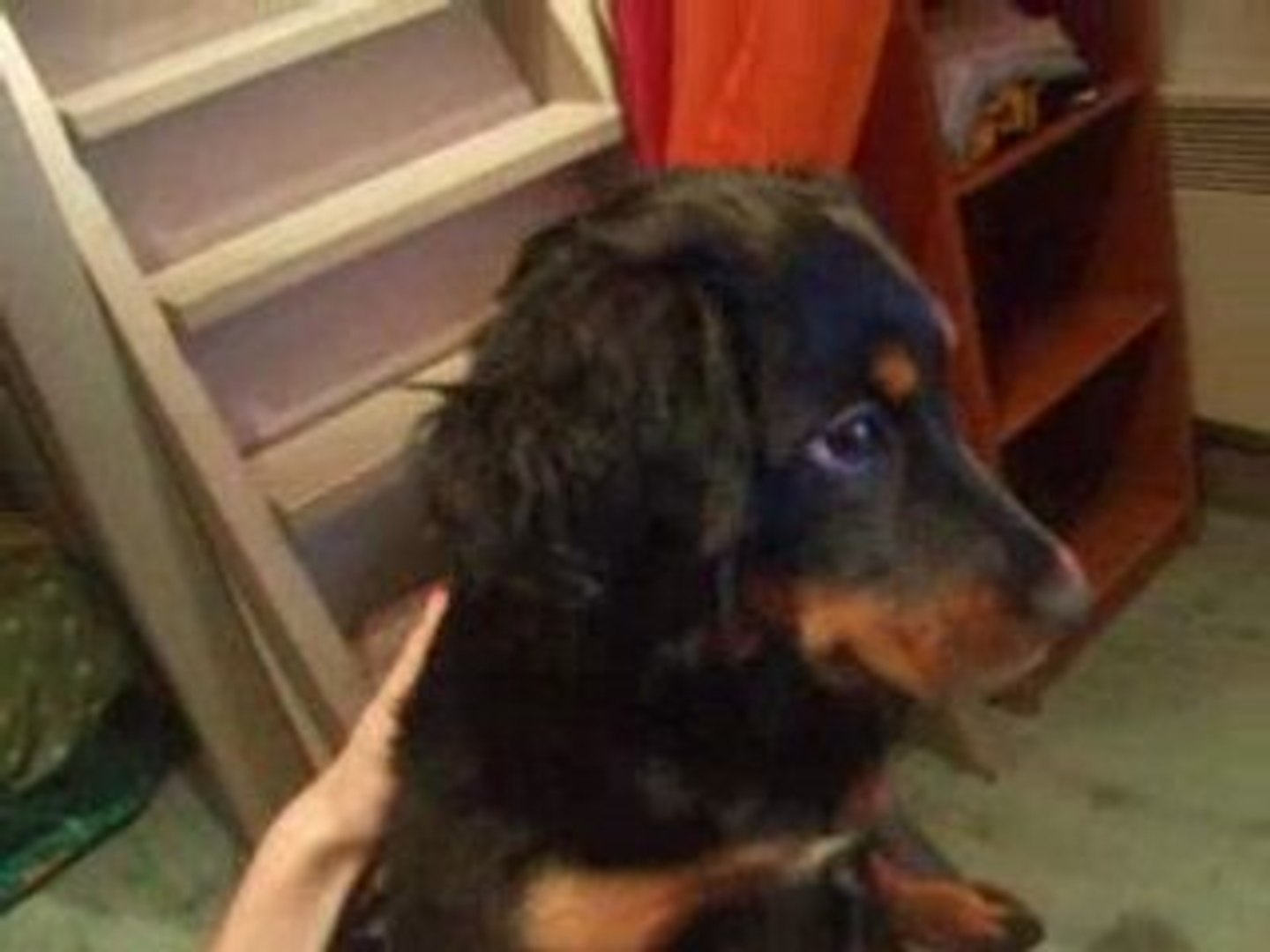 Cannelle écoutant Rush - Akon