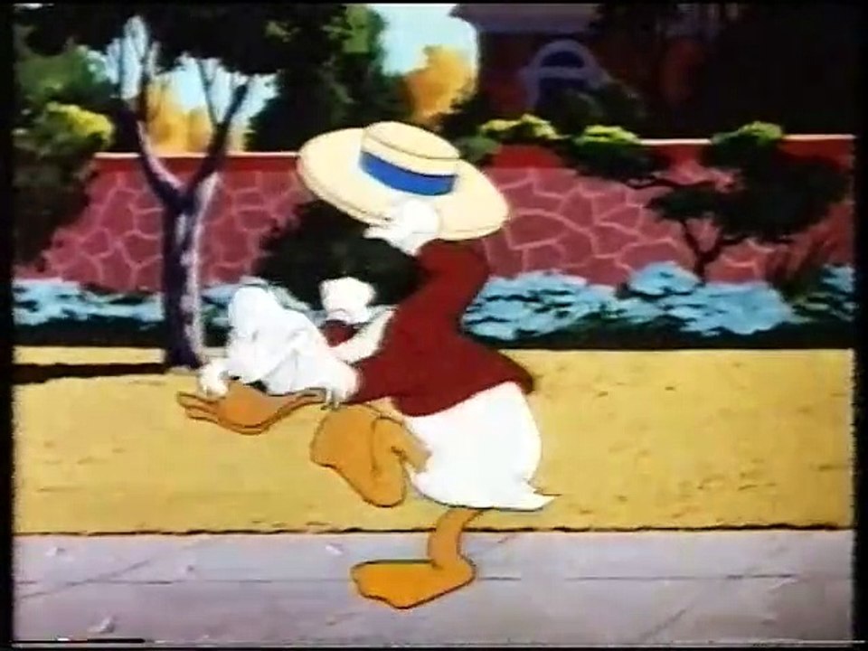 Feliz cumpleaños Donald(VHS)