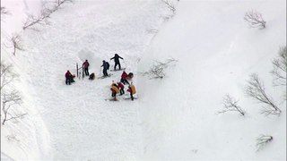 New Zealand skiers killed in Japan avalanche