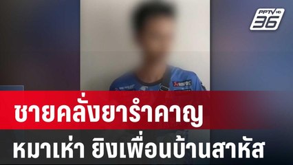 ชายคลั่งยารำคาญหมาเห่ายิงเพื่อนบ้านสาหัส | เที่ยงทันข่าว | 13 มี.ค. 67