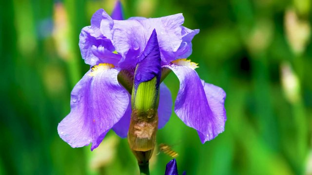 7.Üç Aylardan İstifade 3-Oruç Gufranla Tüllenen İbadet-M.Fethullah Gülen Sesli Kitap