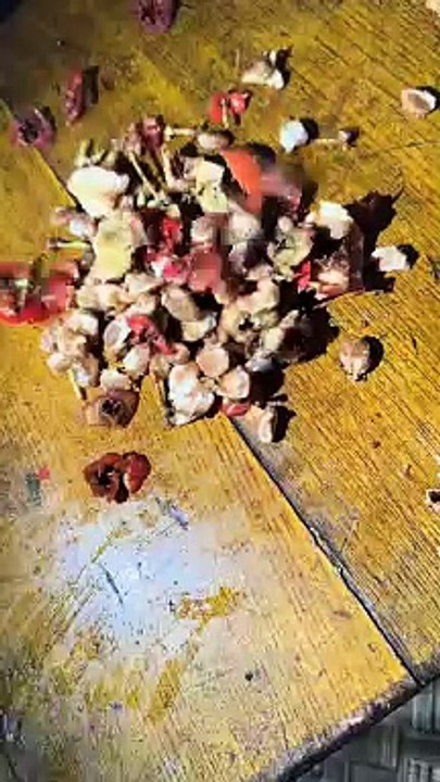 Man Making Sweet From Berries | How To Make Sweet From Berries | Food Lovers | Delicious Food #foodie #food #streetfood #foodlover #foodies #asmr #tasty #spicy #sweets