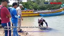 Penyu Belimbing Raksasa Ditemukan Terdampar di Perairan Tanjung Ular Bangka Barat