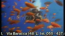 Sequenza spot pubblicitari Opel  Astra SW e Corsa - Luglio 1994