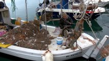 İstilacı türün kuyruk başına yüzde 100 artan teşviki balıkçıları sevindirdi
