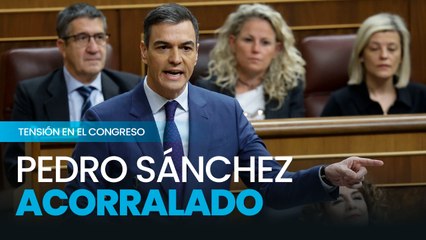 ¿Qué le pasa a Sánchez? El presidente evidencia su extrema tensión en el Congreso