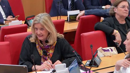 Commission des lois : Prévenir les ingérences étrangères en France - Mercredi 13 mars 2024