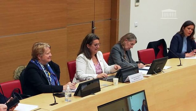 Délégation aux droits des enfants : Table ronde de représentants d’associations - Mercredi 13 mars 2024