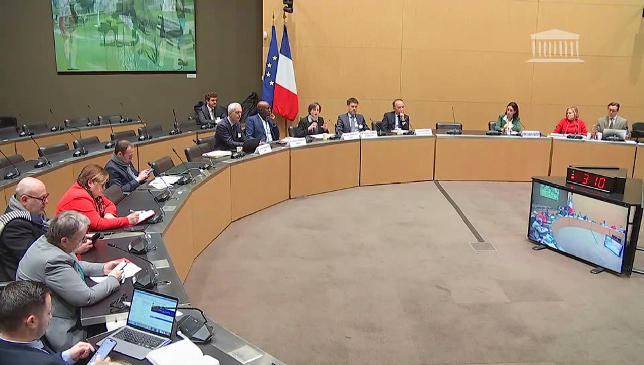 Commission des affaires culturelles : « Quelle place pour les activités physiques et sportives dans les enseignements scolaire et supérieur ? » - Mercredi 13 mars 2024