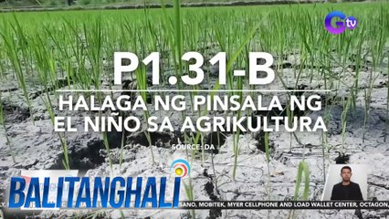 Dept. of Agriculture: Halaga ng pinsala ng El Niño, nasa P1.31B na | BT