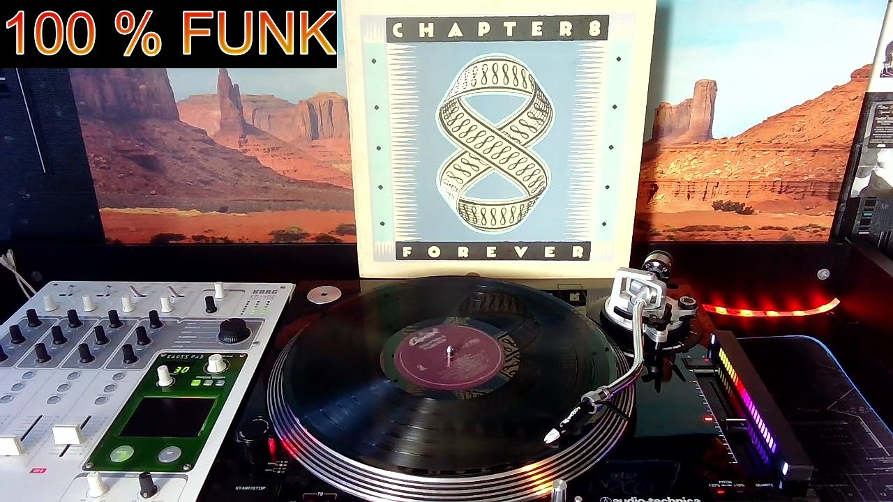 CHAPTER 8 - one and only (1988)