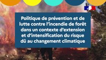 RA IGEDD 2023 #  Feux de forêt - Frédéric Mortier - V2