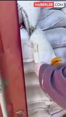 Skandal görüntülerin sahibi Oba Makarna'dan açıklama