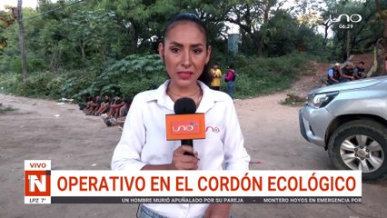 17 arrestados tras operativos en el cordón ecológico