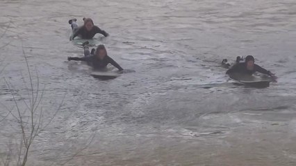 Surfers enjoy the Severn Bore as it passes Over, near Gloucester