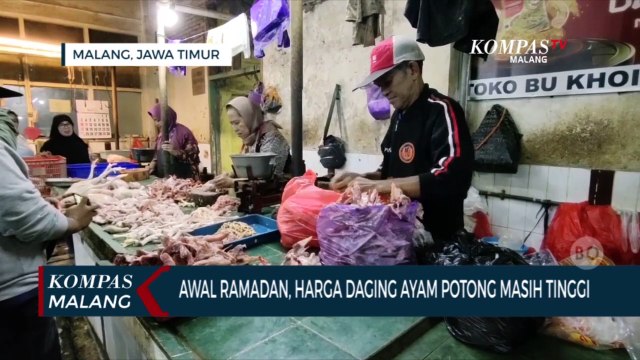 Awal Ramadan Harga Daging Ayam Potong Masih Tinggi