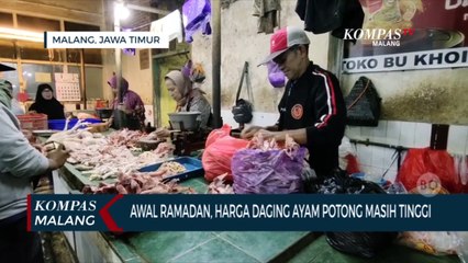 Awal Ramadan Harga Daging Ayam Potong Masih Tinggi