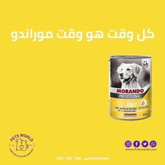 كل وقت هو وقت موراندو