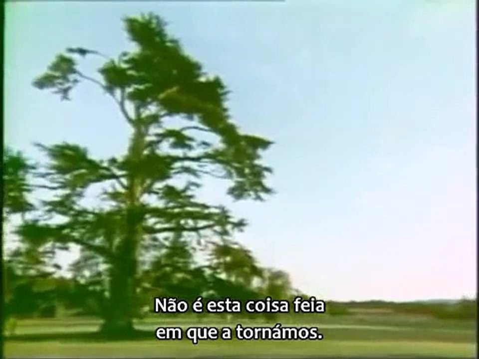 Problemas da vida