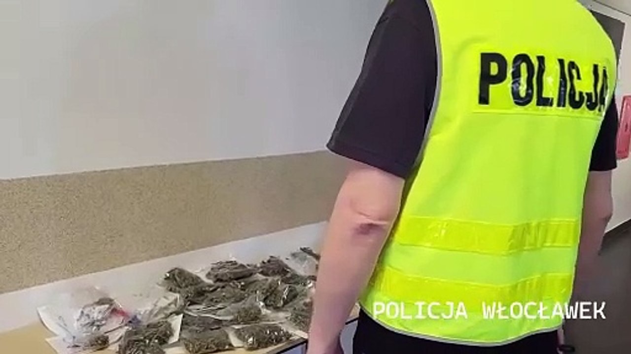 W mieszkaniu 52-latka z Włocławka policjanci znaleźli narkotyki