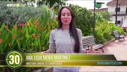 Corantioquia entregará incentivos para 50 proyectos y emprendimientos ambientales