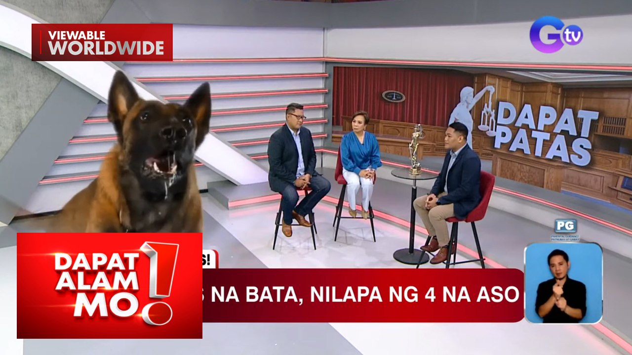 Ano-ano ang responsibilidad ng isang fur parent ayon sa ating batas? | Dapat Alam Mo!