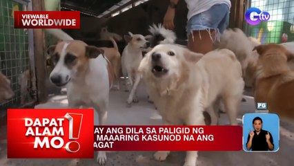 Mga senyales ng pagiging agresibo ng isang aso, alamin! | Dapat Alam Mo!
