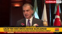 AK Parti Sözcüsü Ömer Çelik: Hayvanlara yapılan zulümlere asla müsamaha göstermedik