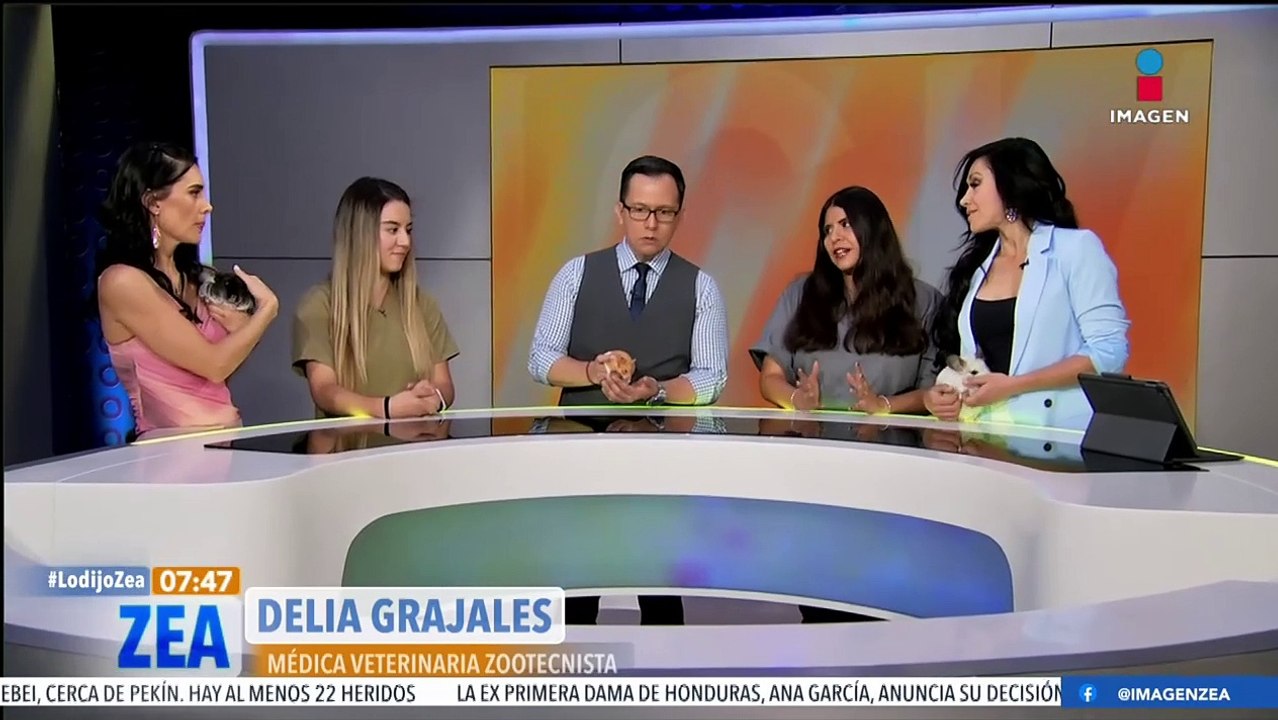 Roedores como mascotas: Alimentación, cuidados y enfermedades