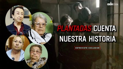Plantadas cuenta nuestra historia. Entrevista exclusiva