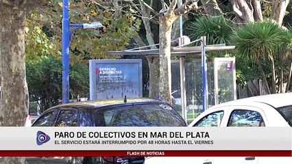PARO DE COLECTIVOS EN MAR DEL PLATA