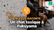 Japon : à Fukuyama, caresser ce chat tombé dans un réservoir de produits toxiques est déconseillé par les autorités