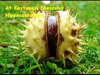 video_2024-03-13_13-44-36