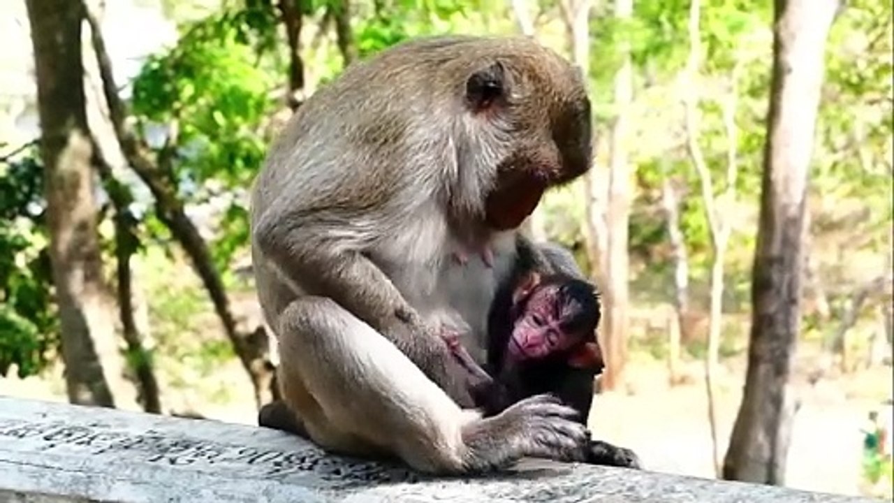 Young mom is angry at baby who was a few day, baby feels so scare, when mom make him so hurt (720p_25fps_H264-192kbit_AAC)