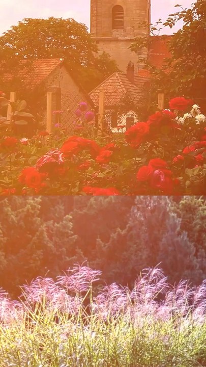 Abonne-toi pour suivre d’autres solutions positives !     @theimpactstory   Source : 20 Minutes, Le Point, France 24   #energie #invention #innovation #plante #village #villagefrancais #électricité